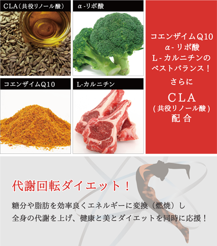 ファイヤー 活性ダイエット
