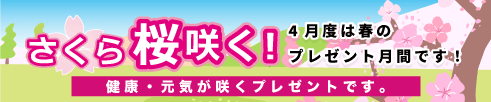 2026年桜咲くプレゼントです