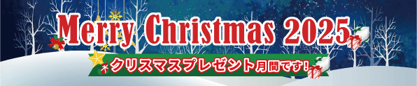 2025年のクリスマスプレゼントです