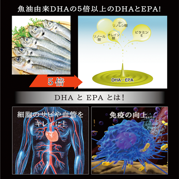 X-4 DHA5倍